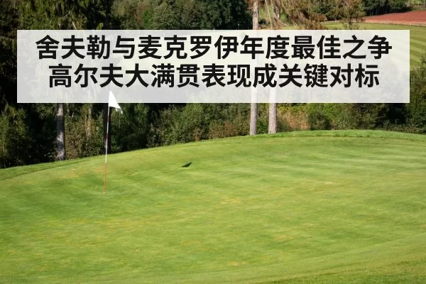 舍夫勒与麦克罗伊年度最佳之争高尔夫大满贯表现成关键对标
