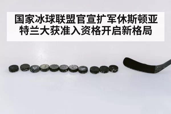 国家冰球联盟官宣扩军休斯顿亚特兰大获准入资格开启新格局
